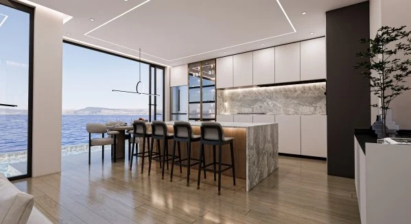 Modern Coastal Luxury Living Room Design kitchen
